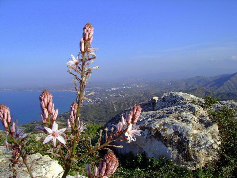 Velmer Hotel Lefka  Kültér fotó